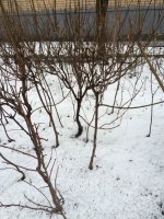 IMG_0230.jpg