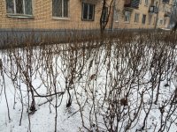 IMG_0226.JPG