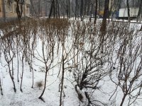 IMG_0224.JPG