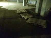 IMG_2356.JPG
