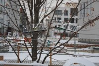 IMG_1059.JPG