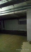 P60313-164616.jpg