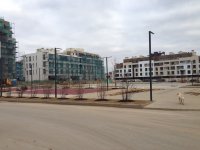 IMG_3305.JPG