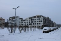 IMG_1239.JPG
