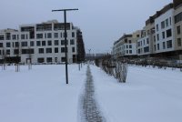 IMG_1240.JPG