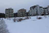 IMG_1241.JPG