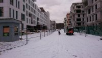 DSC_0455.JPG
