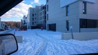 DSC_0491.JPG