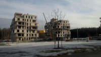 20160329164559.jpg