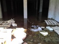 20160514_105835.jpg