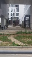 20160713_144859.jpg