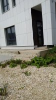 20160722110424.jpg
